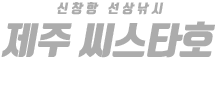제주 씨스타호 하단