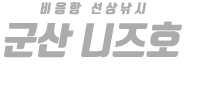 군산 메타피싱 하단