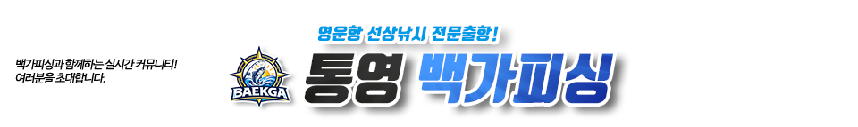 통영 백가피싱