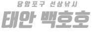 태안 백호호 하단