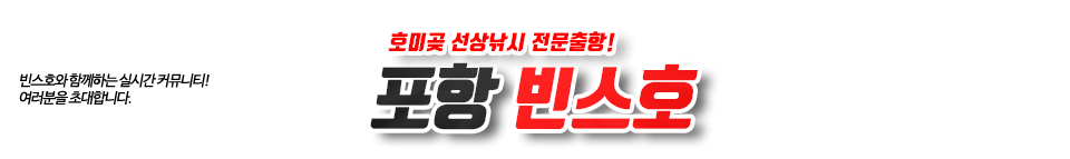 포항 빈스호