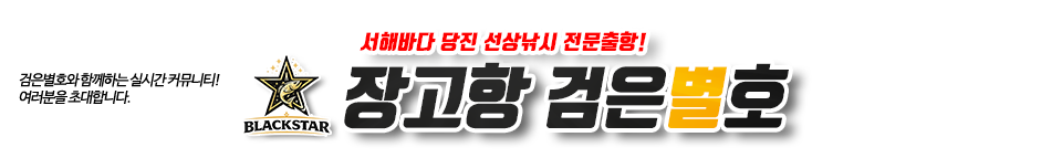 장고항 검은별호