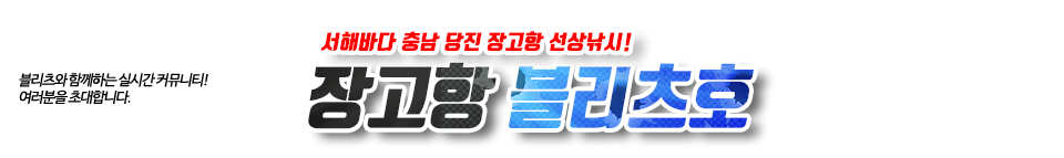장고항 블리츠호