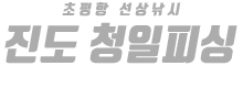 진도 청일피싱 하단