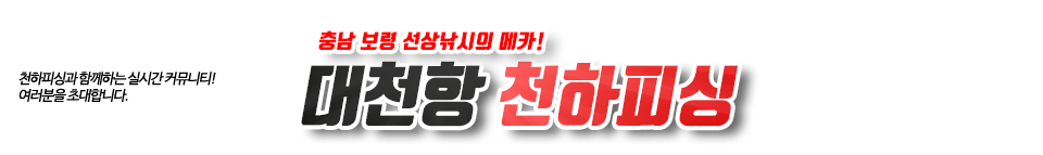 대천항 천하피싱