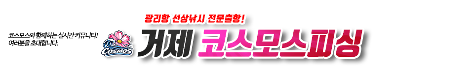 거제 코스모스피싱