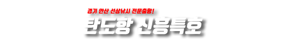 탄도항 신흥특호