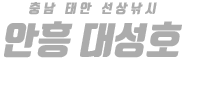 안흥 대성호 하단