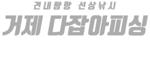 거제 다잡아피싱 하단