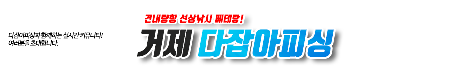 거제 다잡아피싱