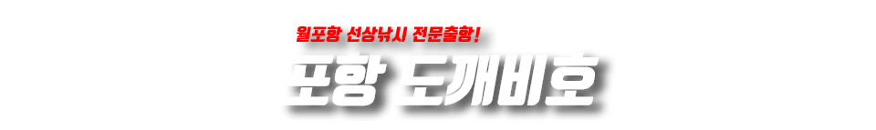 포항 도깨비호