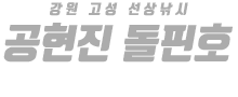 공현진 돌핀호 하단