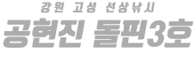 공현진 돌핀3호 하단