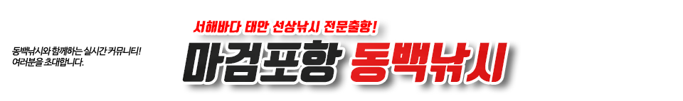 마검포항 동백낚시