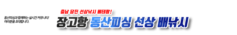 장고항 동산피싱