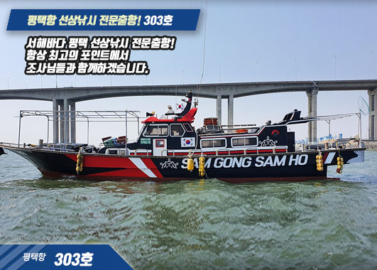 서해 선상낚시, 지금은 갑오징어가 제철!