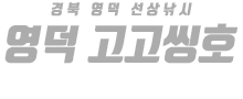 영덕 고고씽호 하단