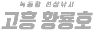 고흥 황룡호 하단