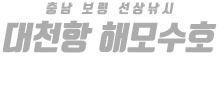 대천항 해모수호 하단