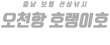 오천항 호랭이호 하단