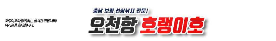 오천항 호랭이호