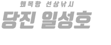 당진 일성호 하단