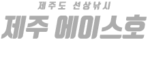 제주 에이스호 하단