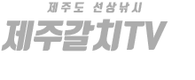 제주 제주갈치TV호 하단