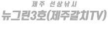 제주 뉴그린3호(제주갈치TV) 하단