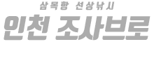 인천 조사브로 하단