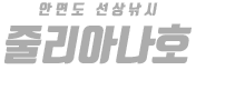 안면도 줄리아나호 하단