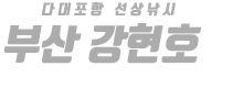 부산 강현호 하단