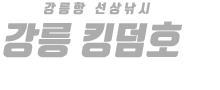 강릉 킹덤호 하단