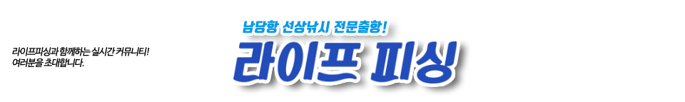 남당항 라이프피싱