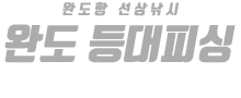 완도 등대피싱 하단
