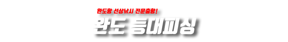 완도 등대피싱