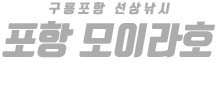 포항 모이라호 하단