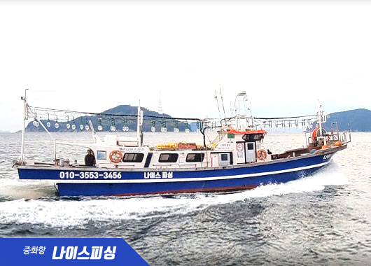 나이스 서비스 예시 화면