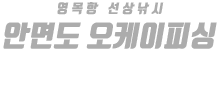 안면도 오케이피싱 하단
