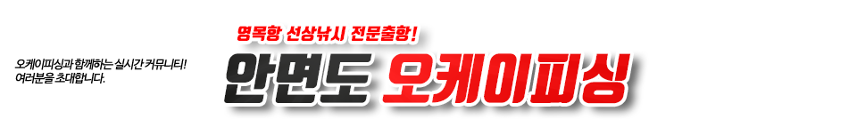 안면도 오케이피싱