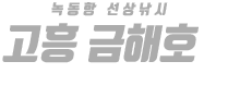 고흥 금해호 하단