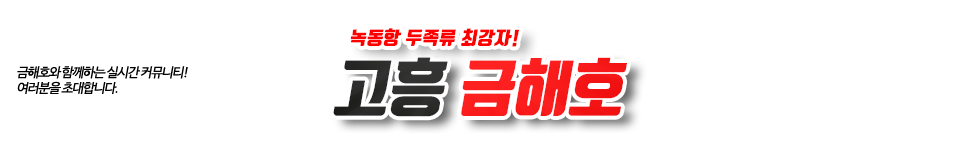 고흥 금해호