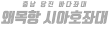 왜목항 시아호좌대 하단