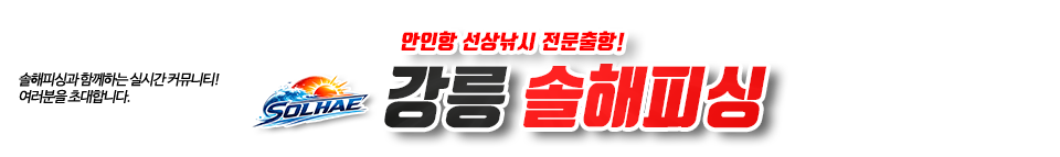 강릉 솔해피싱