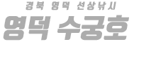 영덕 수궁호 하단