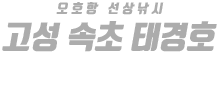 고성 속초 태경호 하단