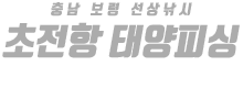 초전항 태양피싱 하단