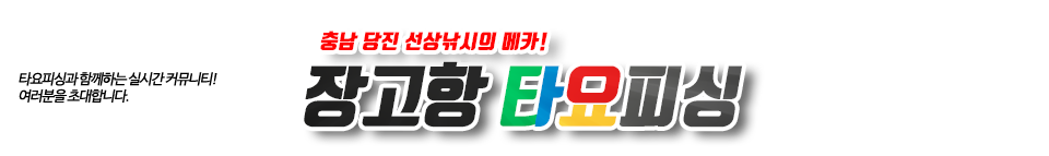 장고항 타요피싱