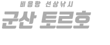 군산 토르호 하단