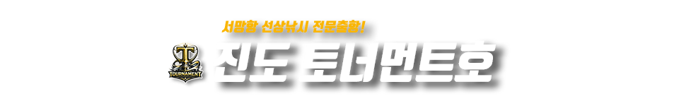 진도 토너먼트호